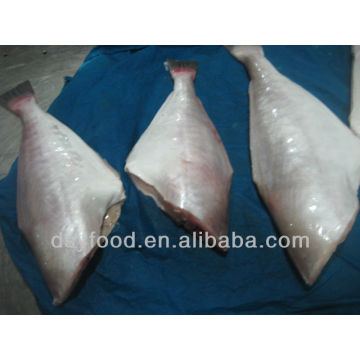 Frozen Skinned fish( leather jacket)